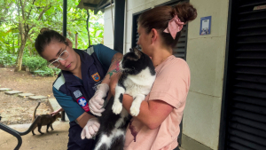 Comprometidos con el bienestar animal: charla sobre derechos animales en Colombia