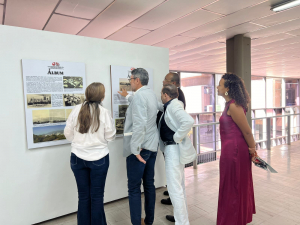 Luz en Concreto, una mirada m&aacute;gica a la infraestructura de Univalle