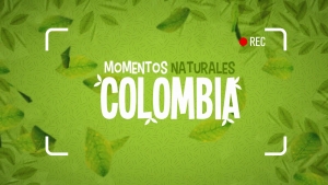 Momentos Naturales Colombia: Conexi&oacute;n con la naturaleza