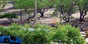 &ldquo;Queremos saber qu&eacute; se va hacer en Ca&ntilde;averalejo&rdquo;