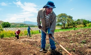 Encuentro virtual sobre Escuelas Rurales Alternativas (ERA) y Reincorporaci&oacute;n Econ&oacute;mica en Colombia