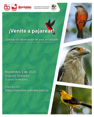 &iexcl;Venite a Pajarear! Este s&aacute;bado, Jornada de observaci&oacute;n de aves