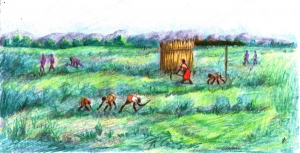 Guardianes de Magia Ancestral, un juego de cartas y herramienta educativa