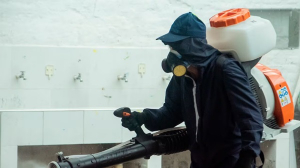 El dengue en Cali ahora se combate con IA: Conozca la innovadora estrategia