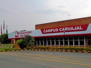 Balance positivo del semestre en Norte del Cauca