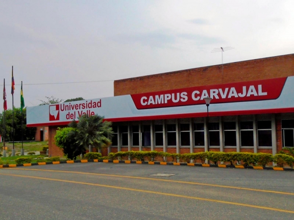 Balance positivo del semestre en Norte del Cauca