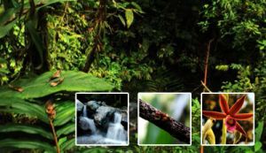 Maestr&iacute;a en Ciencias-Biolog&iacute;a acreditada en alta calidad por ocho a&ntilde;os