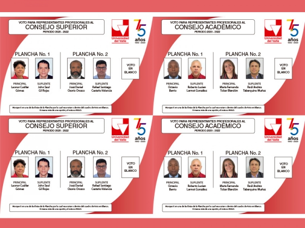 Este lunes, elecci&oacute;n de representantes profesorales