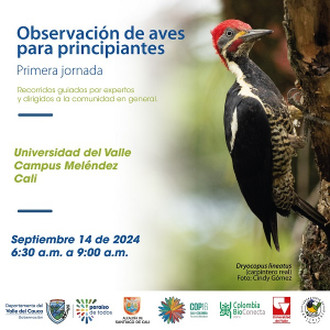Primera jornada de observaci&oacute;n de aves