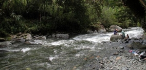 Los nuevos sujetos de derecho