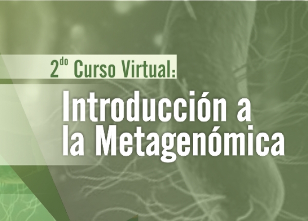 2&deg; Curso virtual Introducci&oacute;n a la Metagen&oacute;mica