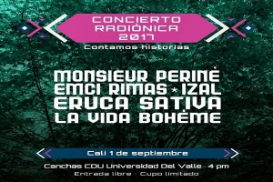 Llega el Concierto Radi&oacute;nica