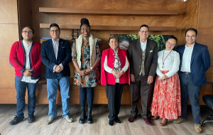 Declaraci&oacute;n de principios sobre cobertura responsable y con calidad