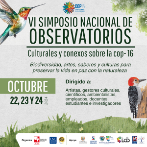 VI Simposio Nacional de Observatorios Culturales