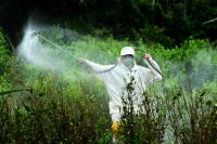 Investigadores se pronuncian frente al glifosato