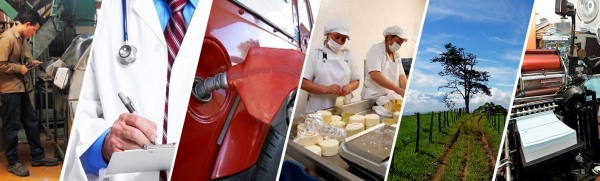 Uni&oacute;n de esfuerzos para la producci&oacute;n y el consumo sostenibles en Cali
