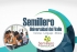 Abiertas las inscripciones para el Semillero Univalle Ciclo II - 2017