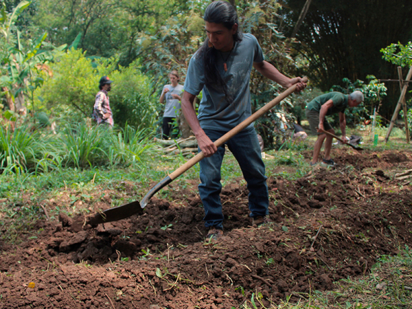 Huertas urbanas: resistencia social y ambiental en la ciudad