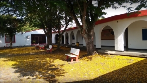 Historia de la sede de Tulu&aacute;