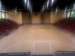 Coliseo Alberto Le&oacute;n Betancourt, Centro de Alto Rendimiento