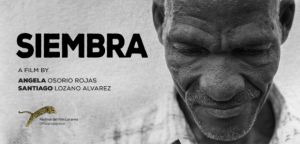 Bono de descuento para apoyar el cine colombiano