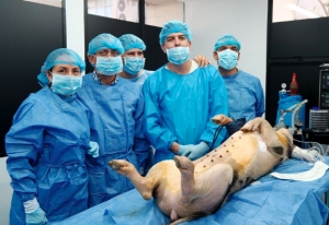 Cerdos, semillas y nuevas apuestas para una investigaci&oacute;n de punta