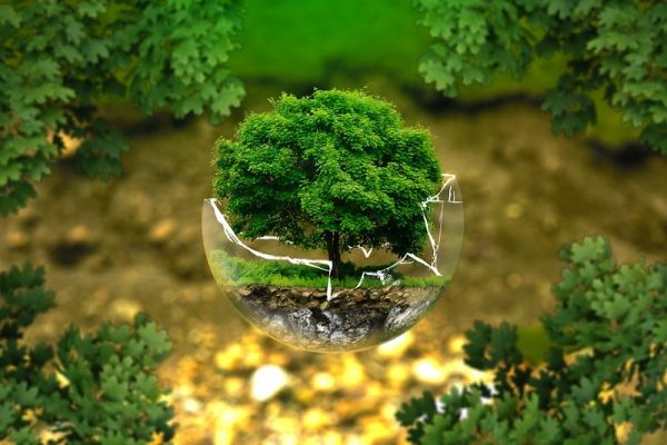 D&iacute;a Internacional de la Educaci&oacute;n Ambiental
