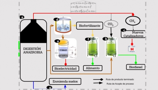 Generaci&oacute;n de 'Productos de Valor Agregado' a partir de residuos agr&iacute;colas y agroindustriales