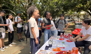 Viceinvestigaciones present&oacute; el Sistema IDiCA