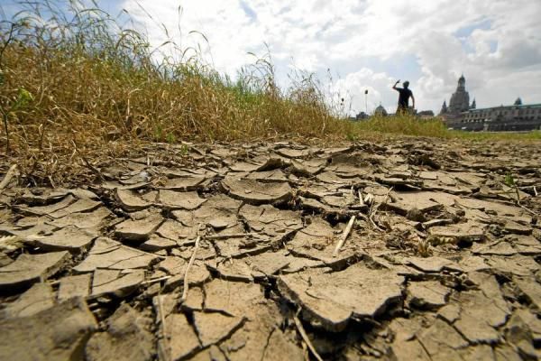 Informe nacional sobre el Ni&ntilde;o en Univalle