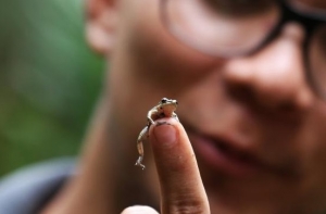 Univalle, un para&iacute;so de la protecci&oacute;n natural