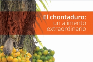 Harina de chontaduro: una soluci&oacute;n alimenticia durante la pandemia