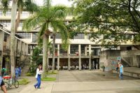 Telesalud: una oportunidad para la medicina en el Valle