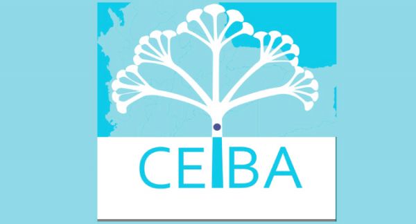 Programa de becas Fundaci&oacute;n CEIBA