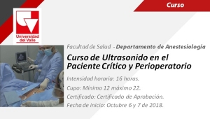 Curso de ultrasonido en el paciente cr&iacute;tico