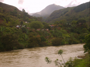 La naturaleza como v&iacute;ctima del conflicto