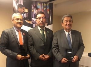 Profesores de Univalle, distinguidos por ASCOLFA