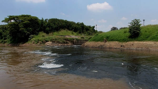 Aumenta contaminaci&oacute;n del r&iacute;o Cauca