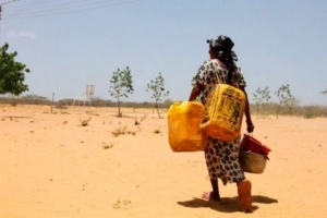 Con estas acciones se prepara el sector ambiente para enfrentar  temporada seca del pa&iacute;s