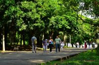 El Sistema Universitario Estatal se pronuncia sobre negociaciones de paz