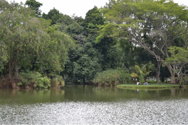 En control de vectores en Univalle aplica m&eacute;todos de calidad para el bienestar de la comunidad y de la fauna de sus campus
