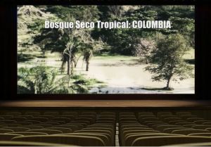 Documental de Biolog&iacute;a en el Festival de Cine Verde