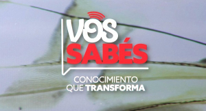 Vos Sab&eacute;s, nuestro nuevo magazine de TV