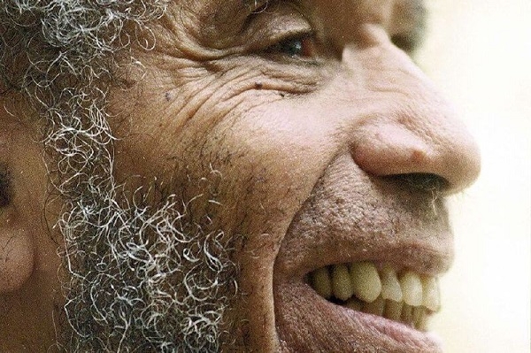 De libre acceso, obras de Zapata Olivella