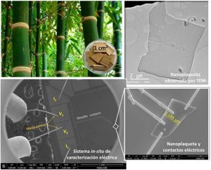 Nanotecnolog&iacute;a a partir de los desechos de la Guadua