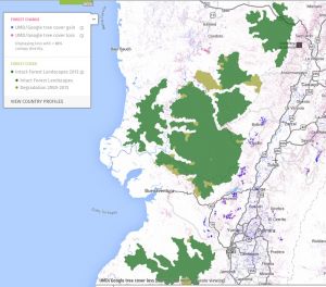 Los Paraguas, a la espera declararse zona protegida
