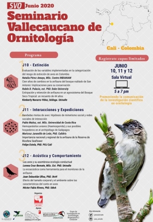 Seminario Vallecaucano de Ornitolog&iacute;a &ndash; SVO Cali