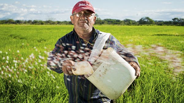 Lanzamiento de Centro de Investigaci&oacute;n en Agricultura