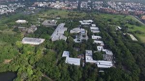 Expertos llaman a mantener medidas de prevenci&oacute;n