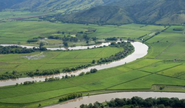 Avanza descontaminaci&oacute;n del r&iacute;o Cauca